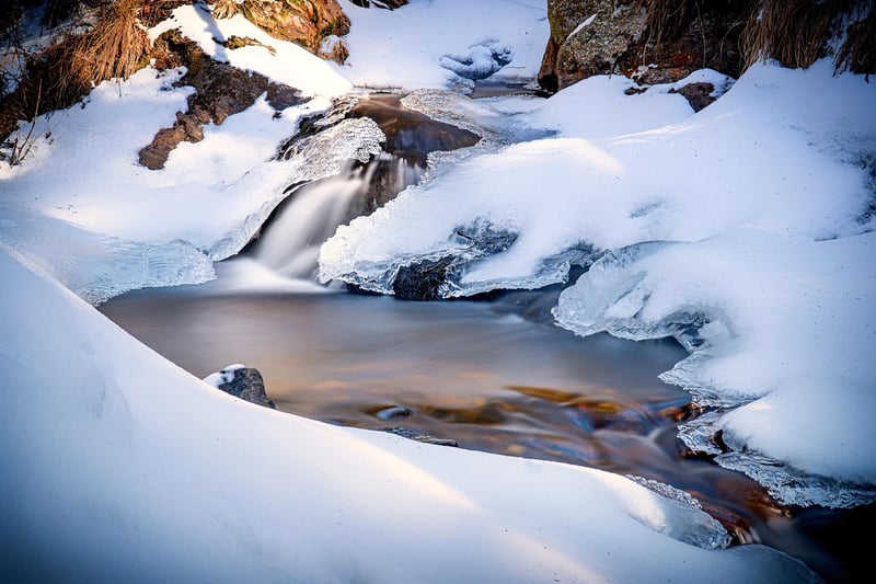 Ice Age Trek